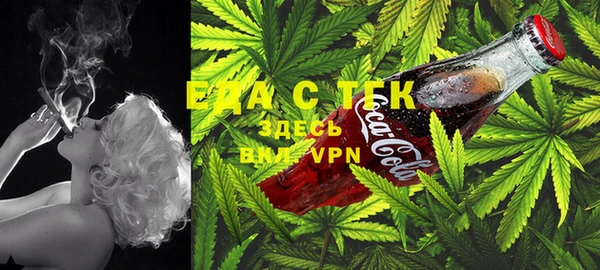 2c-b Горнозаводск