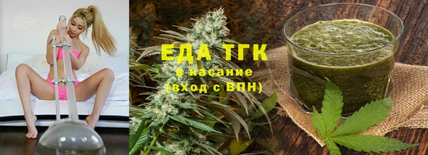 2c-b Горнозаводск