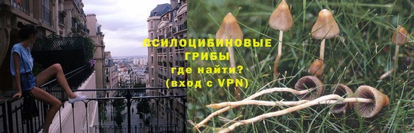 2c-b Горнозаводск