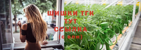 2c-b Горнозаводск