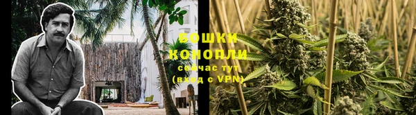 гидра Горно-Алтайск