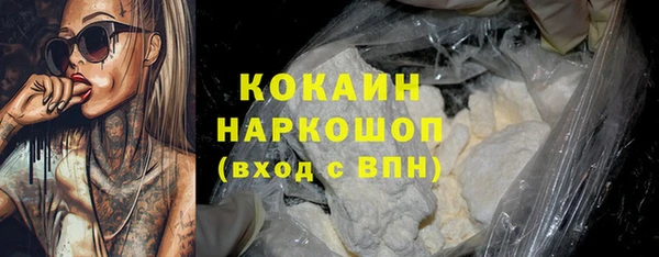 гидра Горно-Алтайск