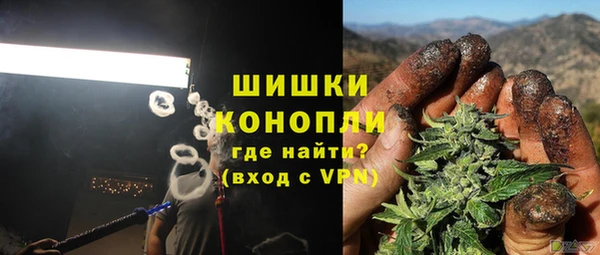 гидра Горно-Алтайск
